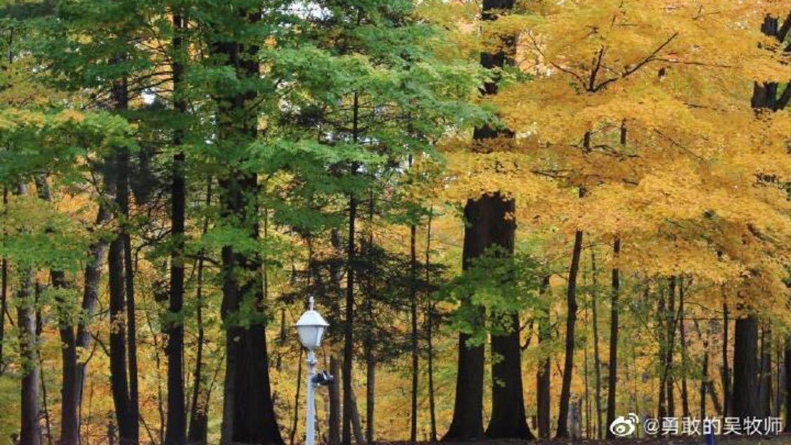 昨日私域推广数字化构建您的转化平台全面评测:成本控制与效果提升的关键策略,ks买点赞会限流吗：提升社交媒体互动不被限流的方法